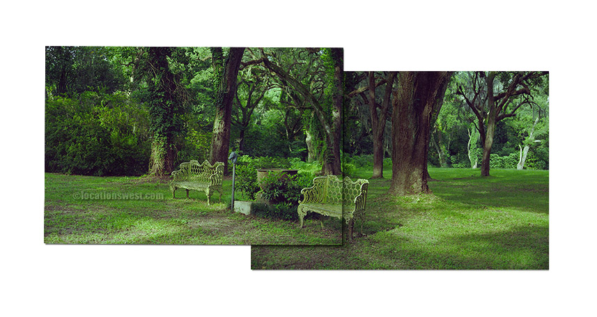 garden