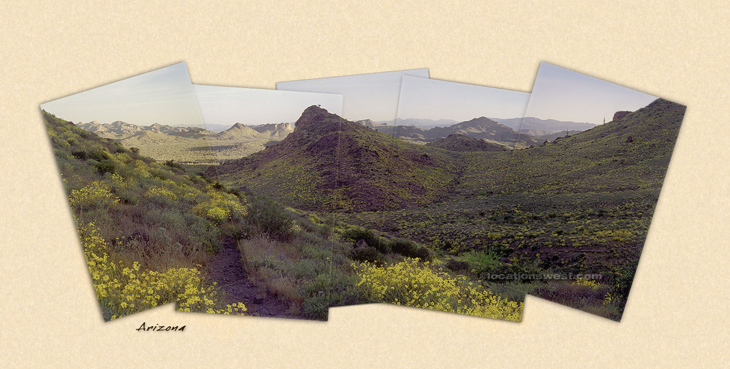 desert meadow
