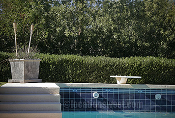 poolside