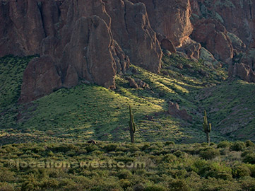 sonoran desert