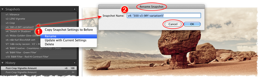 rename snapshot