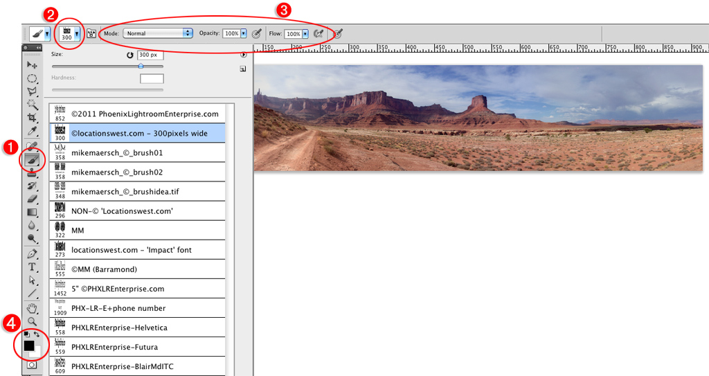 brush settings