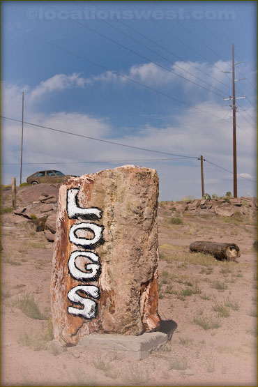 petrified wood