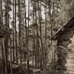 cabin