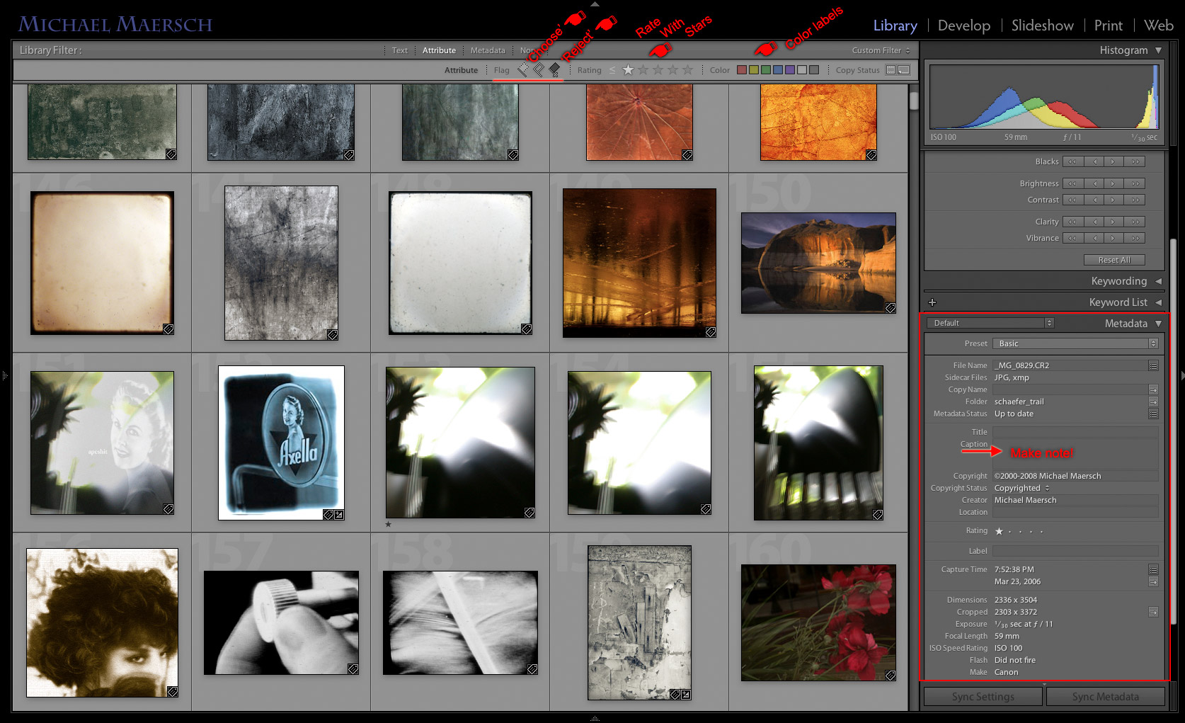 grid view with metadata panel and attribute filters shown