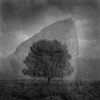 marcin kuran pictures