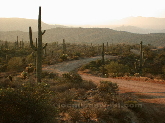saguaro road