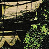 foot bridge