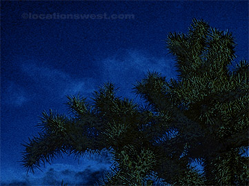 moon rise