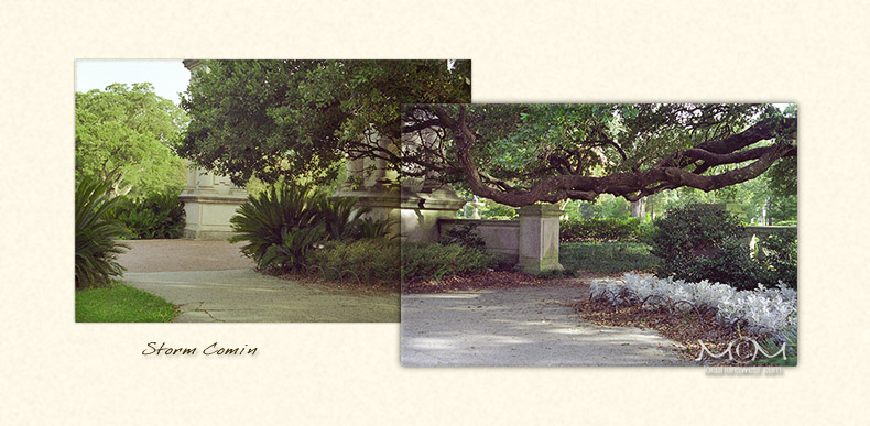 city park