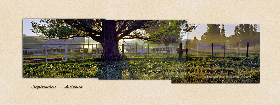 ranch